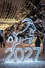 Световые цифры 2027 с козой — изображение 4